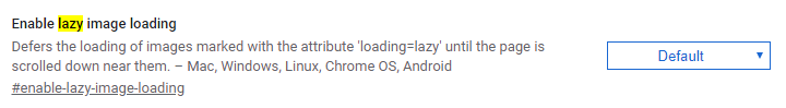 Lazy image loading flag